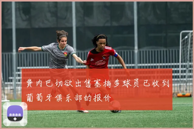 费内巴切欲出售塞梅多球员已收到葡萄牙俱乐部的报价
